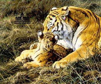 Tender Moment by Alan Hunt Pricing Limited Edition Print image