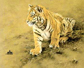 Tiger Cub by Alan Hunt Pricing Limited Edition Print image