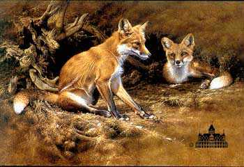 Vixen & Friend by Alan Hunt Pricing Limited Edition Print image