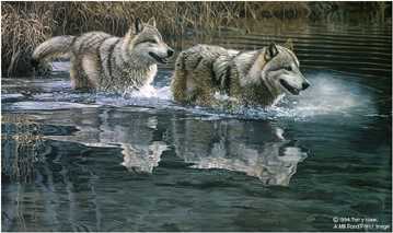 Crossing Wolves by Terry Isaac Pricing Limited Edition Print image