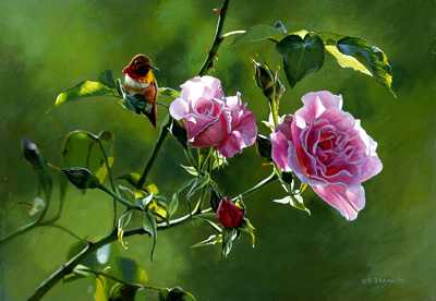 Shades Summer Rufous by Terry Isaac Pricing Limited Edition Print image
