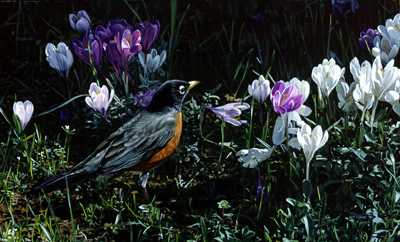 Signs Of Spring by Terry Isaac Pricing Limited Edition Print image