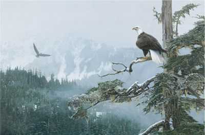 On Eagles Wings by Terry Isaac Pricing Limited Edition Print image