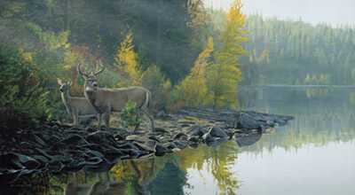 Autumn Gold by Terry Isaac Pricing Limited Edition Print image