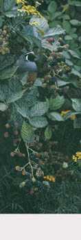 Silent Vigil by Terry Isaac Pricing Limited Edition Print image