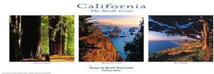 California Coast by Gerald Brimacombe Pricing Limited Edition Print image