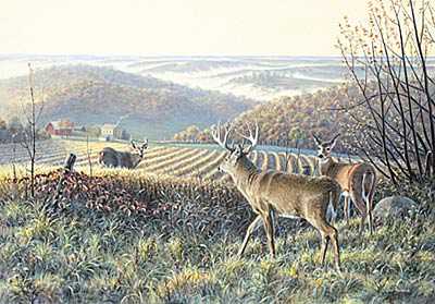 Fenceline Xng De by Jim Kasper Pricing Limited Edition Print image