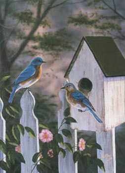 Bluebirds Wildroses by Rick Kelley Pricing Limited Edition Print image