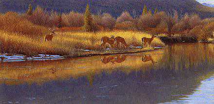 Reflections Of Gold by John Banovich Pricing Limited Edition Print image