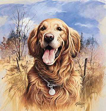 Thats My Dog Retriever by James Killen Pricing Limited Edition Print image