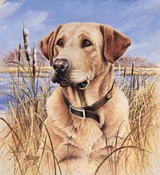 Thats My Dog Yellw Lab by James Killen Pricing Limited Edition Print image