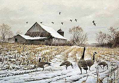 Country Canada Geese by James Killen Pricing Limited Edition Print image