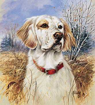 Thats My Dog English by James Killen Pricing Limited Edition Print image