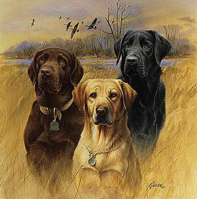 Great Hunt Dogs Iii by James Killen Pricing Limited Edition Print image
