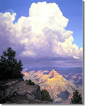 Grand Cyn Thund by John Cogan Pricing Limited Edition Print image