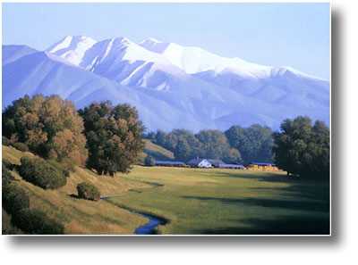 Late Summer Meadow by John Cogan Pricing Limited Edition Print image