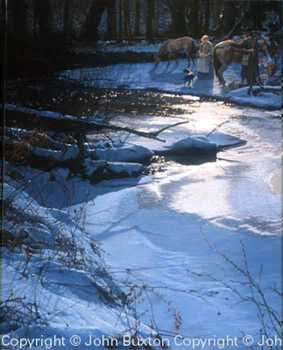 Break Camp Turtle by John Buxton Pricing Limited Edition Print image