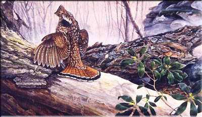 Old Elm Grouse by Laura Mark-Finberg Pricing Limited Edition Print image