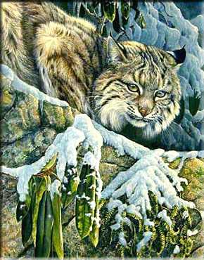 Silent Hunter by Laura Mark-Finberg Pricing Limited Edition Print image