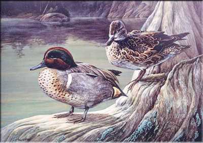 Otter Creek Teal by Laura Mark-Finberg Pricing Limited Edition Print image