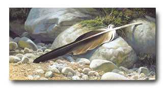 Feather Of Eagle by Don Kloetzke Pricing Limited Edition Print image