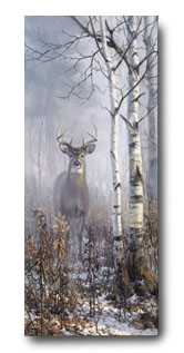 Birch Buck by Don Kloetzke Pricing Limited Edition Print image