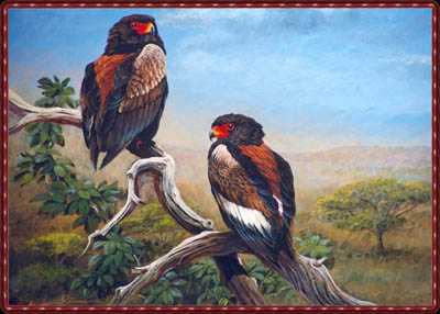 Batleur Eagles by Gamini Ratnavira Pricing Limited Edition Print image