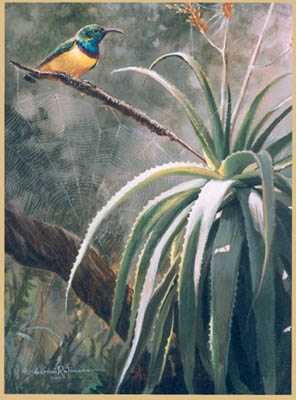 Sunbird With Aloe by Gamini Ratnavira Pricing Limited Edition Print image