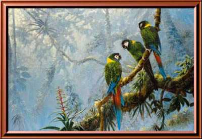 Golden Collar Macaws by Gamini Ratnavira Pricing Limited Edition Print image
