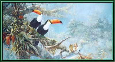 Toco Toucans by Gamini Ratnavira Pricing Limited Edition Print image