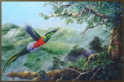 Resplendent Quetzals by Gamini Ratnavira Pricing Limited Edition Print image