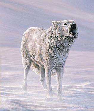 Howling Wind by Lee Kromschroeder Pricing Limited Edition Print image