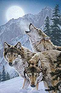 Moon Dancers Wolves by Lee Kromschroeder Pricing Limited Edition Print image
