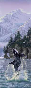 Vertical Rise Orca by Lee Kromschroeder Pricing Limited Edition Print image