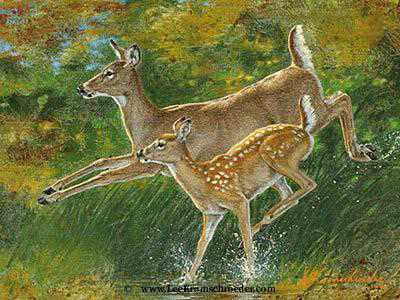 Skedaddel Whitetail by Lee Kromschroeder Pricing Limited Edition Print image