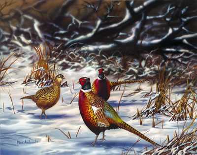 Winter Retreat by Mark S Anderson Pricing Limited Edition Print image