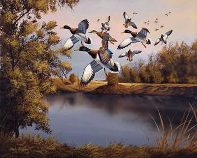 Millers Pond by Mark S Anderson Pricing Limited Edition Print image