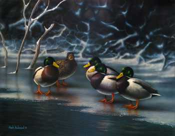 Mallards On Ice by Mark S Anderson Pricing Limited Edition Print image