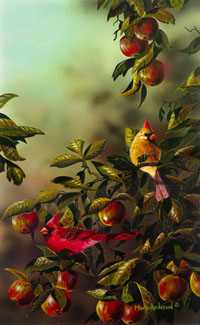 Apple Branches by Mark S Anderson Pricing Limited Edition Print image