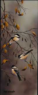 Chickadees by Mark S Anderson Pricing Limited Edition Print image