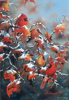 Winter Splendor by Mark S Anderson Pricing Limited Edition Print image
