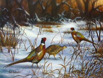 Colors Of Winter by Mark S Anderson Pricing Limited Edition Print image