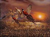 Pheasant Flush by Mark S Anderson Pricing Limited Edition Print image