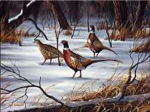 Winter Pheasants by Mark S Anderson Pricing Limited Edition Print image