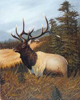 Elk Ridge by Mark S Anderson Pricing Limited Edition Print image