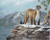 Cougar by Mark S Anderson Pricing Limited Edition Print image