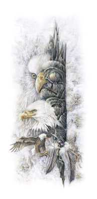 Eagles Of Ninstints by Judi Wild Pricing Limited Edition Print image