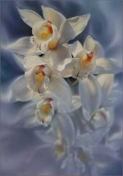 Fleur De Grace by Collin Bogle Pricing Limited Edition Print image