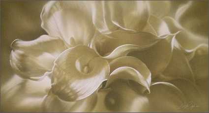 Calla Lilly Bouquet by Collin Bogle Pricing Limited Edition Print image