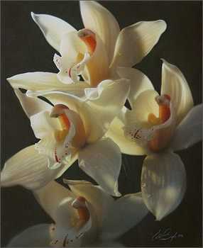 Sunlit Orchids by Collin Bogle Pricing Limited Edition Print image